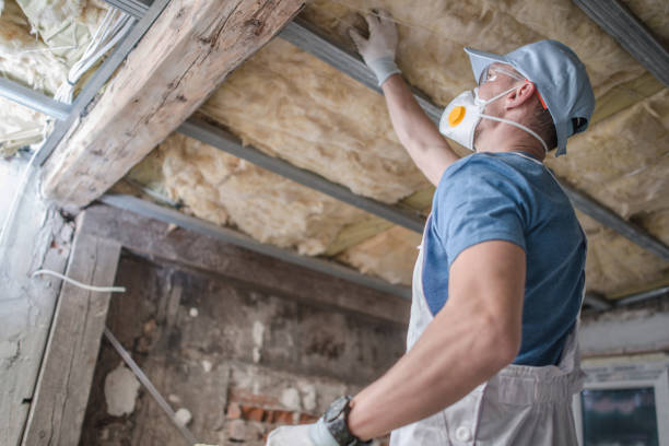 Best Residential Insulation in Leawood, KS